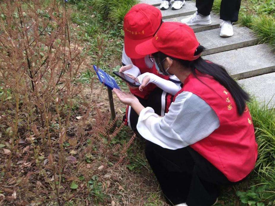 微信图片_20221031110556 微信图片_20221031110556